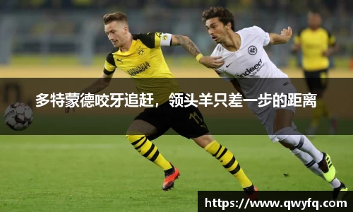 多特蒙德咬牙追赶，领头羊只差一步的距离